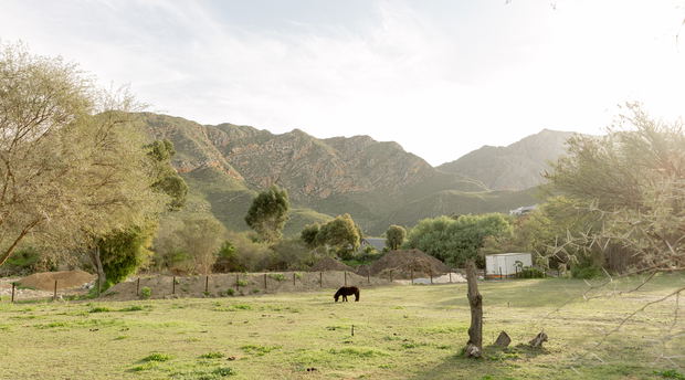 In abundance, surroundings, moutains 