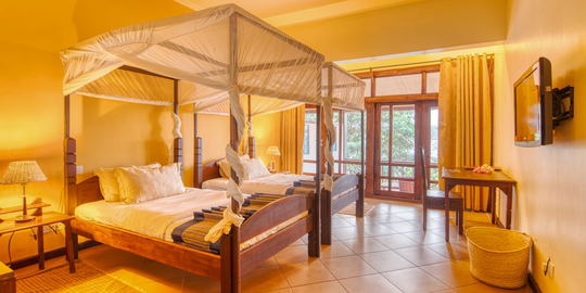 Executive Room (Twin)