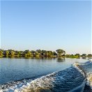 Chobe National Park Lunch Cruise