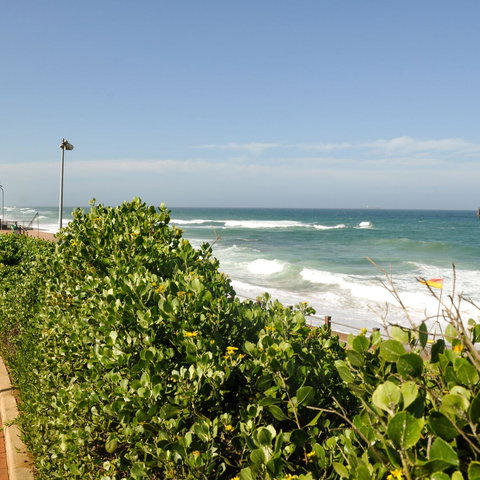Our Area