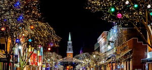 Holiday Discount Promo