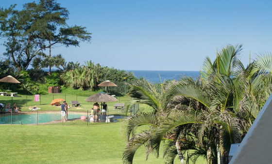 Communal pool and garden
