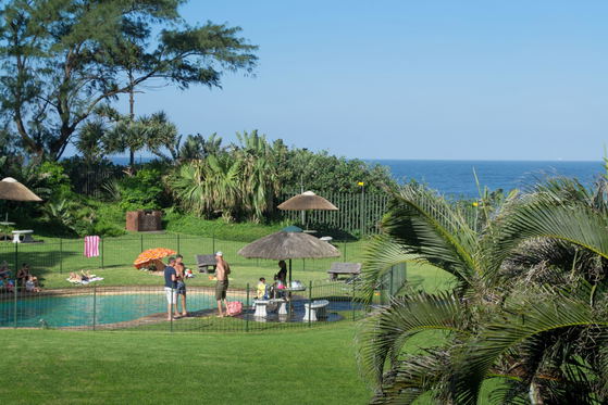 Communal pool and garden