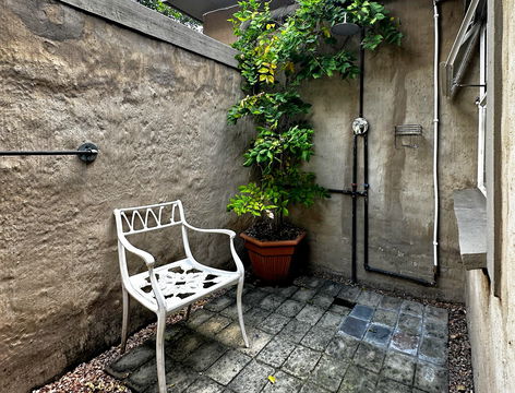 Palm Room Outside Shower