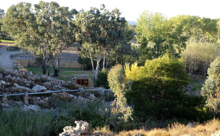 Bush Camp