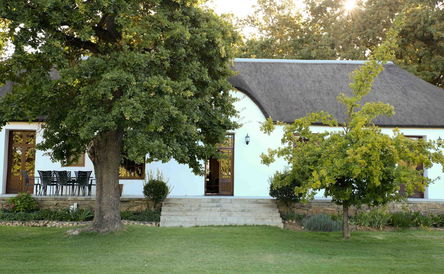 January 2026 Wedding Special