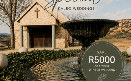 Winter Wedding Special 2027
