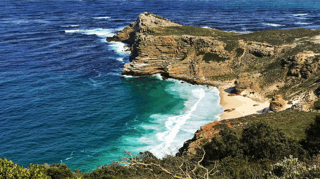 ape Town’s Natural Beauty – Explore the Rugged Coastline and Unique Fynbos Vegetation