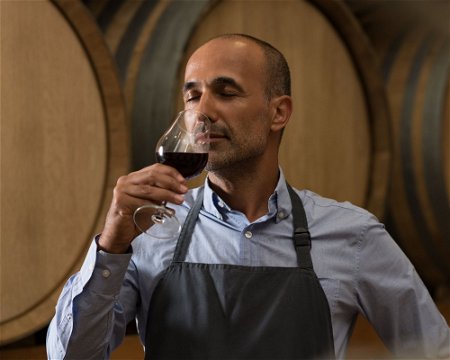 A picture of a winemaker in Stellenbosch smelling a glass of red wine before wine tasting  