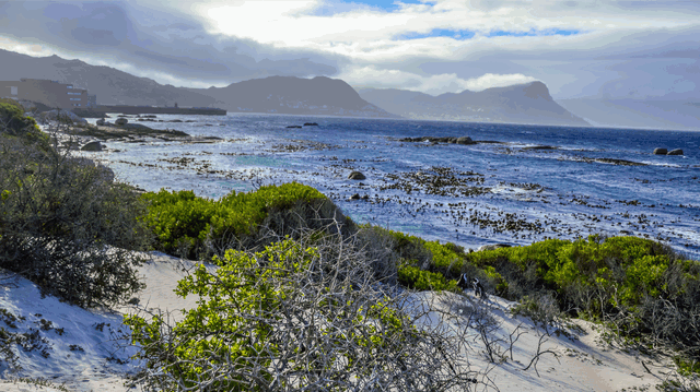 Delightful Lunch in Simon’s Town – Enjoy a Meal with Beautiful Harbor Views