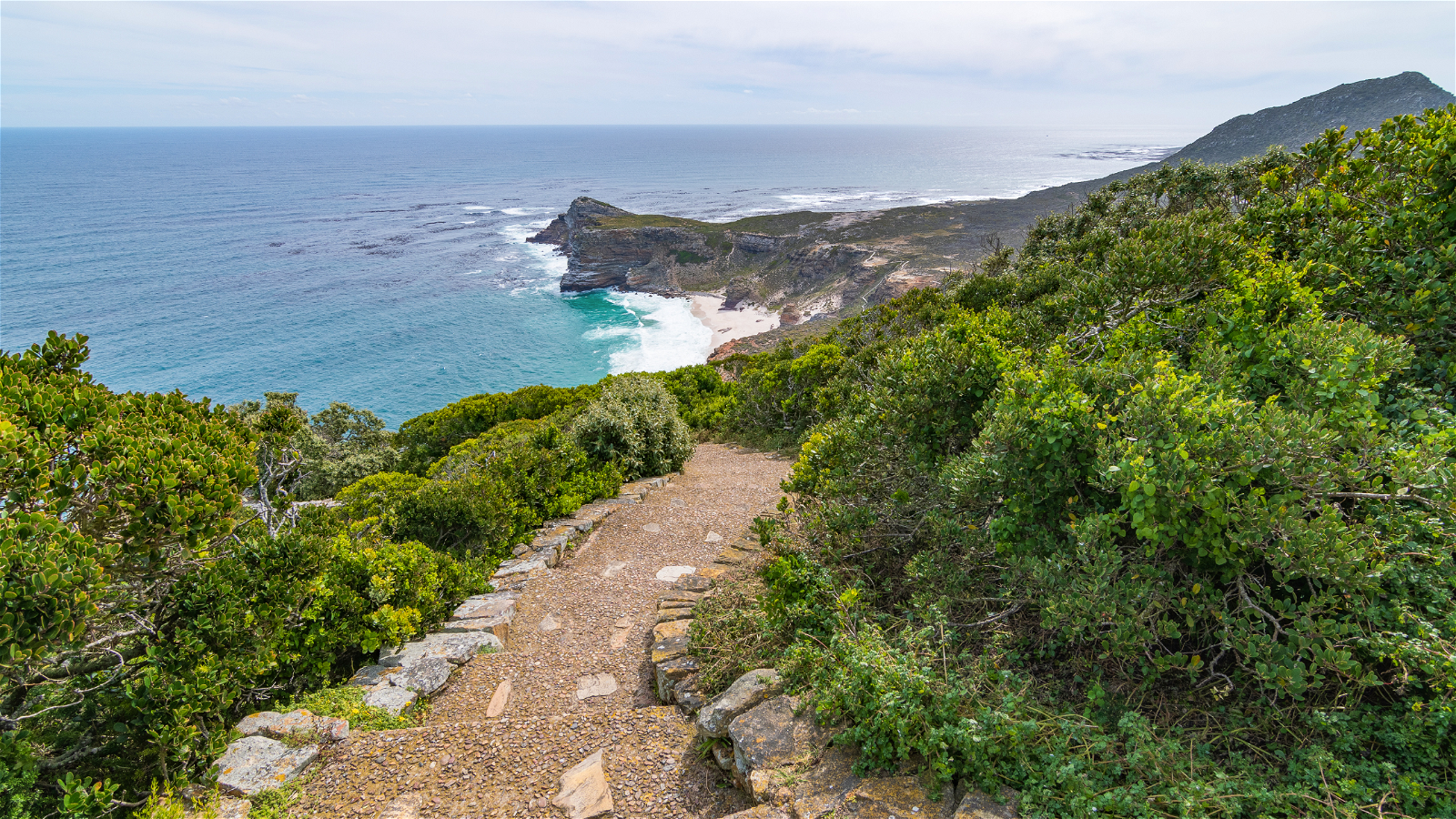 In this captivating photograph, a set of stairs leads the way to the awe-inspiring Cape Point. The steps, flanked by rugged cliffs and vibrant fynbos, beckon adventurers to embark on a journey to one of South Africa's most iconic landmarks. As you ascend these stairs, you'll be greeted by the majestic Cape Point Lighthouse, perched at the very edge of the continent, where the Atlantic Ocean stretches endlessly before you.