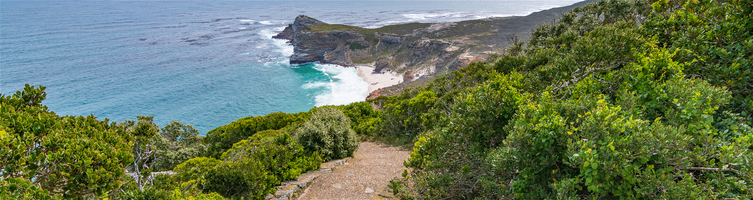 In this captivating photograph, a set of stairs leads the way to the awe-inspiring Cape Point. The steps, flanked by rugged cliffs and vibrant fynbos, beckon adventurers to embark on a journey to one of South Africa's most iconic landmarks. As you ascend these stairs, you'll be greeted by the majestic Cape Point Lighthouse, perched at the very edge of the continent, where the Atlantic Ocean stretches endlessly before you.