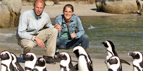 Peninsula Day Tour: Cape Point, Penguins & Table Mountain Shore Excursion 