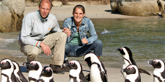 Peninsula Day Tour: Cape Point, Penguins & Table Mountain from Cruise Terminal