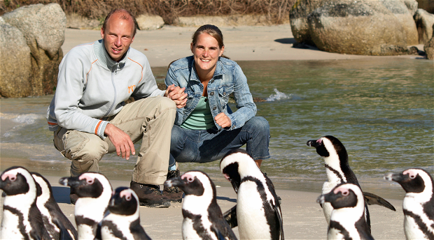 Tourists on a guided Cape Peninsula Tour with Into Tours and a Couple at Boulders Beach in Simons Town, posing behind many African penguins at Boulders Beach with the ocean in the background 