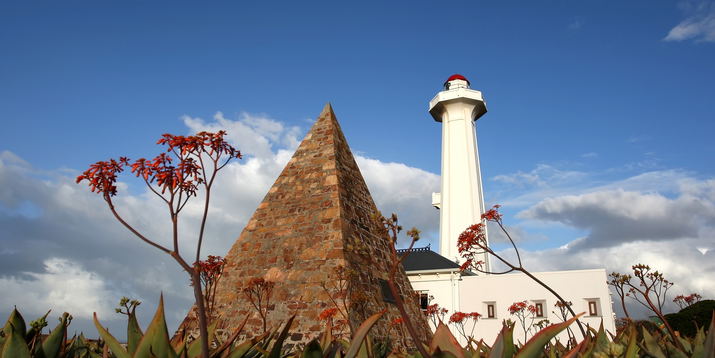 Port Elizabeth Wildlife Safari & City Tour: 4x4 Adventure