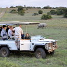 open vehicle safari through private game reserves, where the majestic silhouette of a rhinoceros stands against the savannah backdrop. With a knowledgeable ranger as your guide, prepare for an unforgettable adventure amidst the African wilderness. open vehicle safari through private game reserves, where the majestic silhouette of a rhinoceros stands against the savannah backdrop. With a knowledgeable ranger as your guide, prepare for an unforgettable adventure amidst the African wilderness.