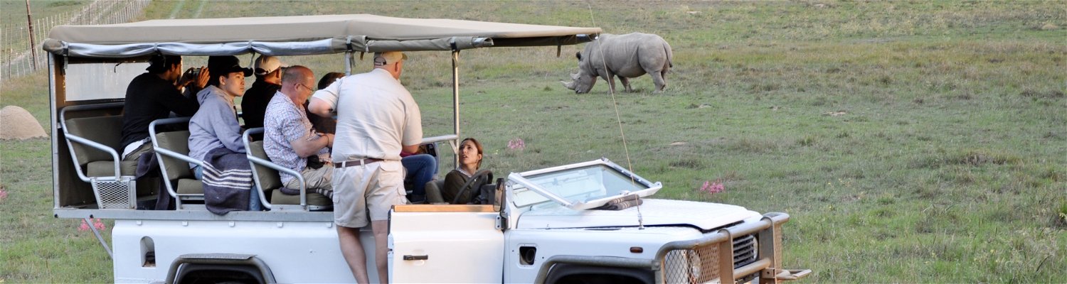 open vehicle safari through private game reserves, where the majestic silhouette of a rhinoceros stands against the savannah backdrop. With a knowledgeable ranger as your guide, prepare for an unforgettable adventure amidst the African wilderness.