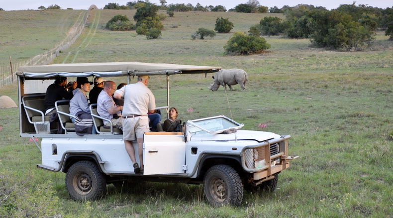 Co-Workers listening to wild life animal facts while on a 4x4  big five Safari Experience in Cape Town