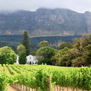 constantia-valley-wine-route-wine-tasting-cape-town-private-wine-tours-cape-town-cape-dutch-architecture-vineyards-constantia-cape-town-wine-tours constantia-valley-wine-route-wine-tasting-cape-town-private-wine-tours-cape-town-cape-dutch-architecture-vineyards-constantia-cape-town-wine-tours