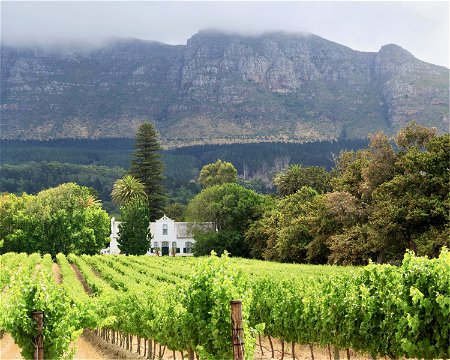 constantia-valley-wine-route-wine-tasting-cape-town-private-wine-tours-cape-town-cape-dutch-architecture-vineyards-constantia-cape-town-wine-tours