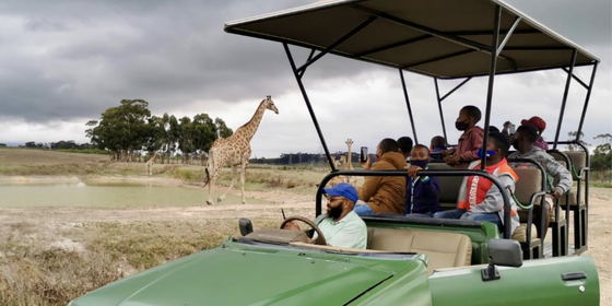 Cape Town Safari and Stellenbosch Wine Tour