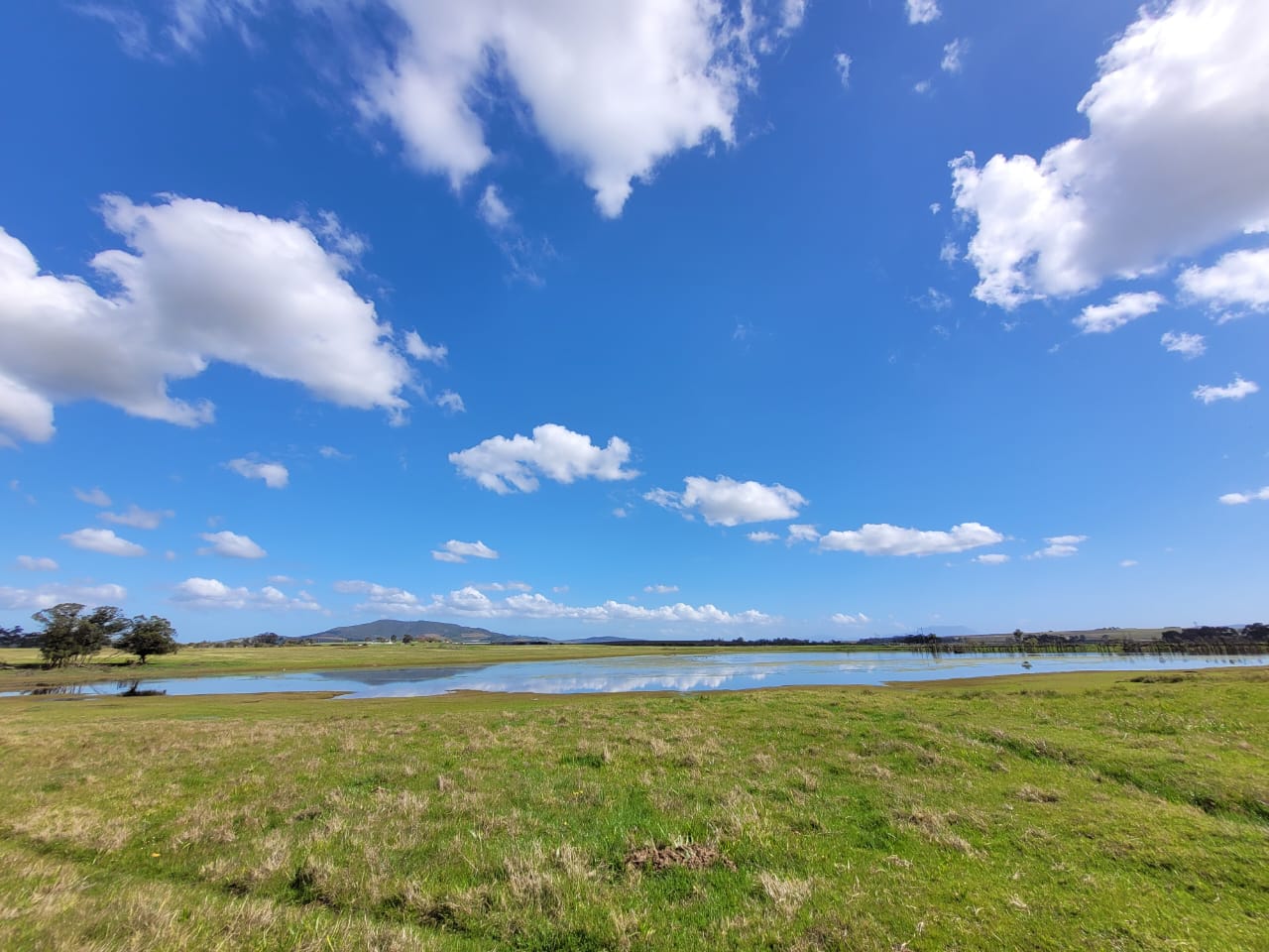 Picture of the landscape as seen on a game drive at Villeria wine farm in Stellenbosch Cape Town while on a guided wine and safari tour with Into Tours game drive and wine tours in cape winelands 