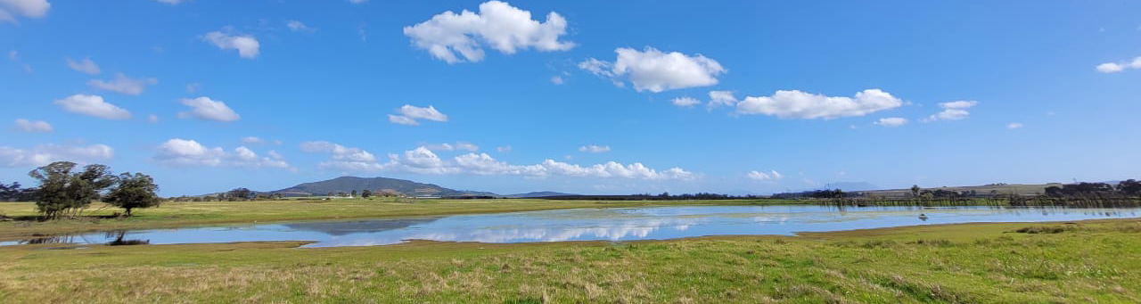 Picture of the landscape as seen on a game drive at Villeria wine farm in Stellenbosch Cape Town while on a guided wine and safari tour with Into Tours game drive and wine tours in cape winelands