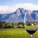 Cape-winelands-accomodation-tour-operator-cape-town-into-tours-paarl-wine-pairing-franschhoek-western-cape-franschhoek-wine-farms-wine-estates-cape-town-wine-south-africa-stellenbosch-wine-route