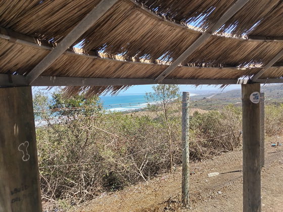 Somewhere along the Garden Route - beach huts and lookout points - we find the secret gems with Into Tours 