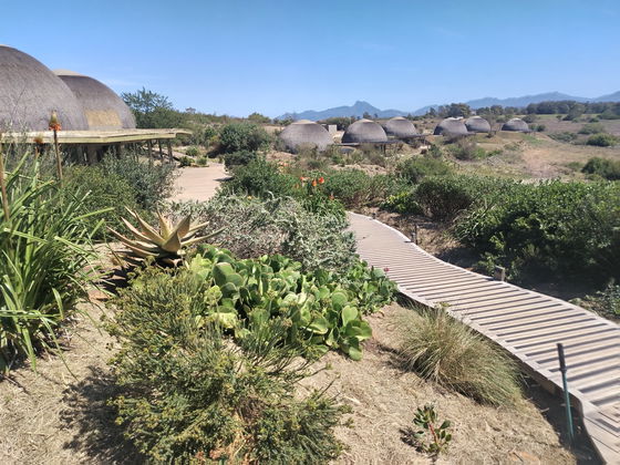 Reconnect with nature on a Gondwana safari — fun for families and groups