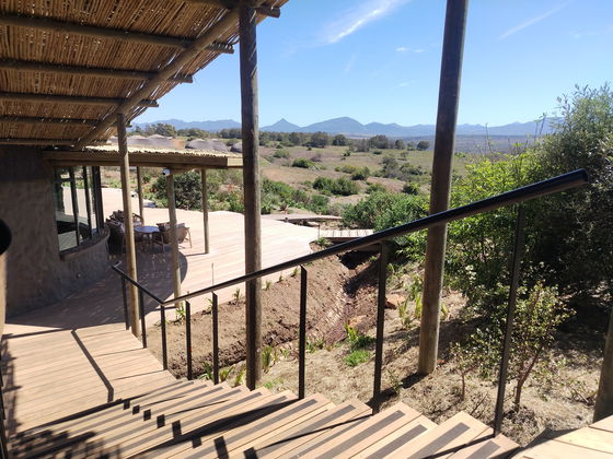 Luxury, wildlife, and adventure await at Gondwana — your ultimate Garden Route safari escape