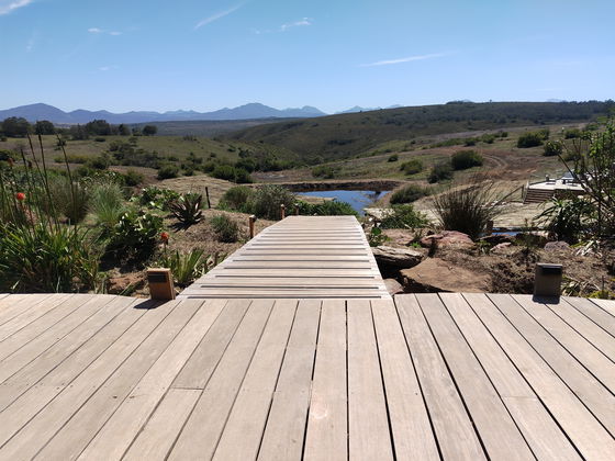 Watering holes at Gondwana Game Reserve - viewing wildlife near your lodgings 