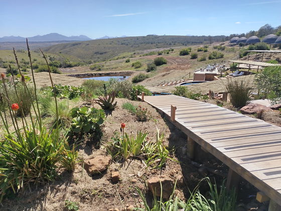 Your Garden Route safari adventure starts here — Gondwana awaits with Into Tours 