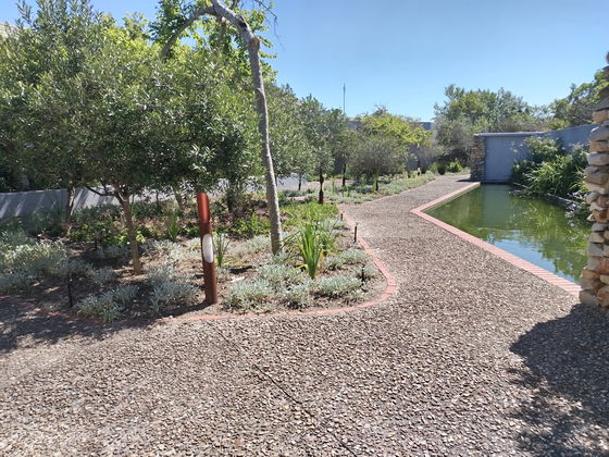 Endless nature trails at Grootbos, leading you to quiet, peaceful corners of this luxury eco-resort.