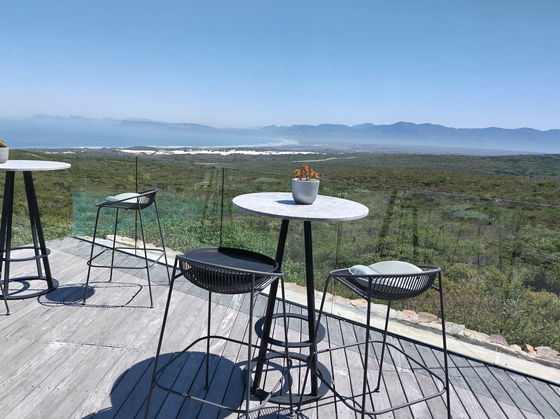 Luxury meets nature: Explore the ultimate eco-adventure at Grootbos