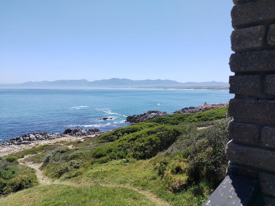 Whale watching in Walker Bay near Gondwana Game Reserve on a luxurious Garden Route safari All-Inclusive tour package 