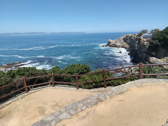 Lookout point watching whales in Hermanus - Western Cape 