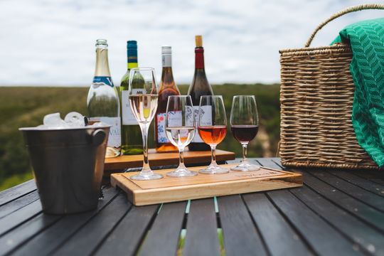 Discover the charm of Port Elizabeth’s vineyard and savour wine made from locally grown grapes during a guided wine tasting experience.