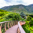 a picture of the Boomslang tree canopy walkway in Kirstenbosch Botanical Gardens with Table mountain eastern slopes as seen on a private guided Cape Town tour with Into Tours, ground operator based in Cape Town Tours Into Tours