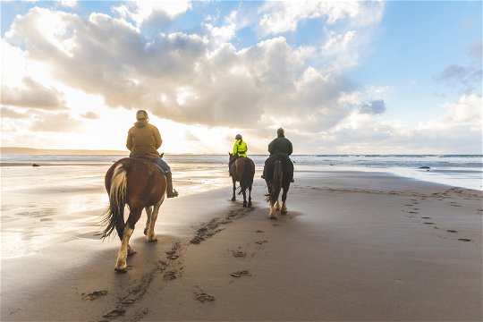 Beach Horse Riding Trails in the Eastern Cape South Africa