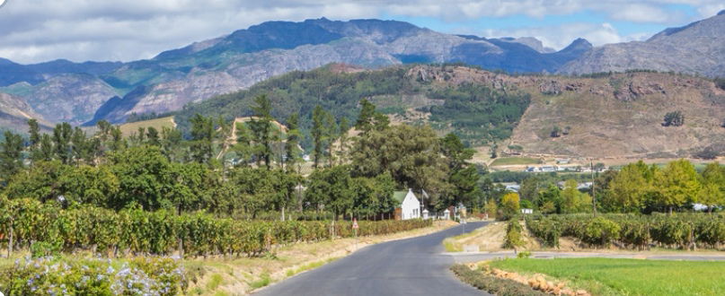 Enjoy transportation to each wine estate