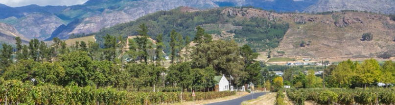 Enjoy transportation to each wine estate