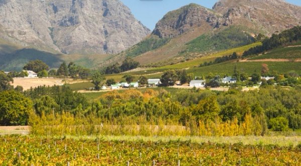 franschhoek wine cellar and tour
