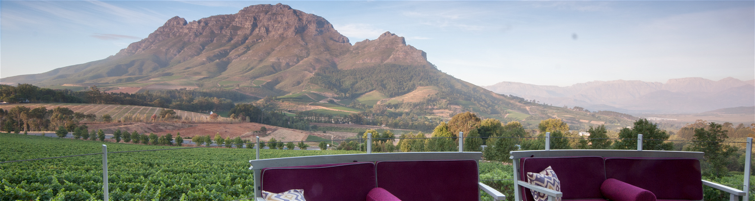A picture of the Simonberg mountain range as seen from a winery in Stellenbosch with vineyards Into Tours