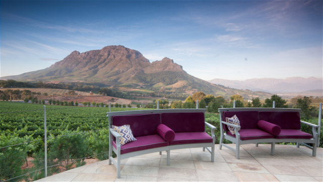 A picture of the Simonberg mountain range as seen from a winery in Stellenbosch with vineyards Into Tours