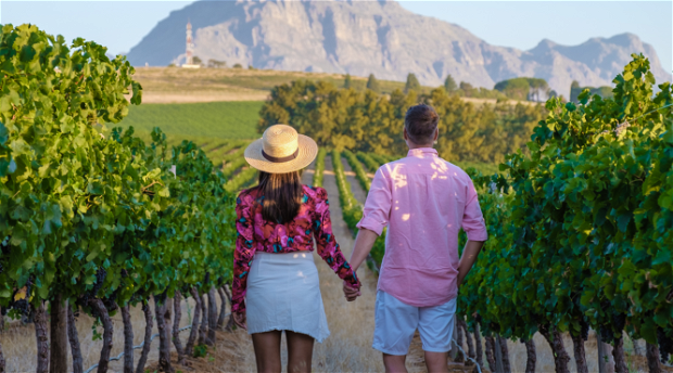 Toursists at a winery in cape winelands holding hands in the vineyards and looking at mountain views on a private guided cape town wine tour cape winelands day tour with into tours