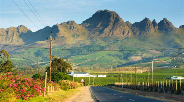 Vineyards-mountains-jonkershoek-simonsig-drp-street-university-cape-town-wine-tasting-western-cape-winelands-house-wine-farms-wine-estate-resturant-stellenbosch-accomodation-into-tours-cape-town-wine-tasting-day-tours-private-tours-cape-town-tour-guide