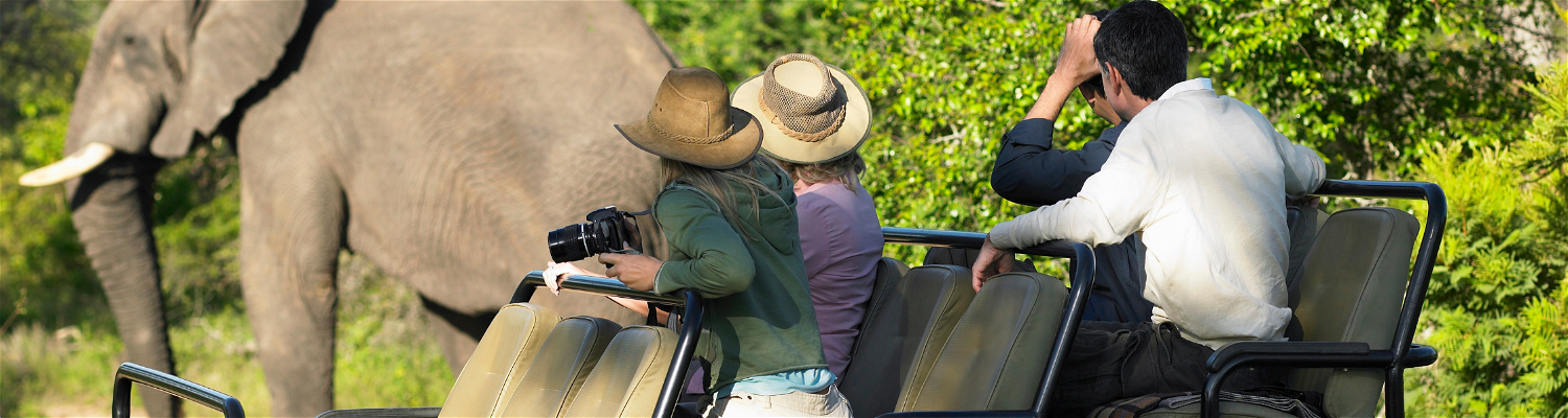 Tourist on a safari in Addo Elephnat National Park, taking a photograph of a big elephant bull. They are on an open vehicle safari , landcover, off road jeep 