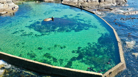 Snorkel Cape Town's Tidal Pools